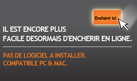 IL EST ENCORE PLUS FACILE DESORMAIS D'ENCHERIR EN LIGNE. PAS DE LOGICIEL A INSTALLER. COMPATIBLE PC & MAC.