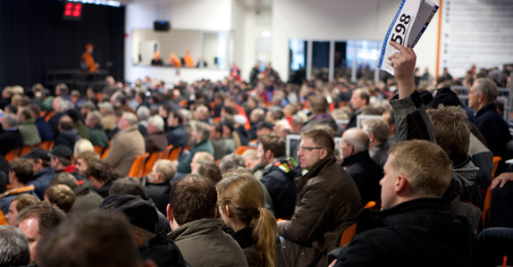 Nothing attracts a crowd like a live Ritchie Bros. auction